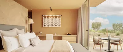 Buen Fin Banyan Tree Veya Valle de Guadalupe