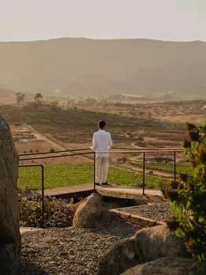 Wellbeing Activities Banyan Tree Veya Valle de Guadalupe