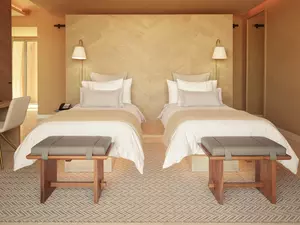 Harmony_Pool_Villa_Twin-Banyan_Tree_Veya-Valle_de_Guadalupe