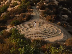 Wellbeing Immersion Programme Valle de Guadalupe