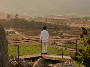Wellbeing Immersion Programme Valle de Guadalupe