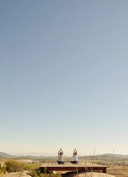 Yoga_Wellbeing-Banyan_Tree_Veya-Valle_de_Guadalupe